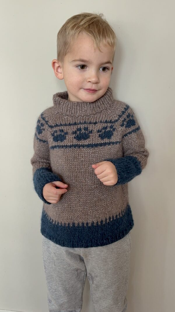 Wild Paws Sweater