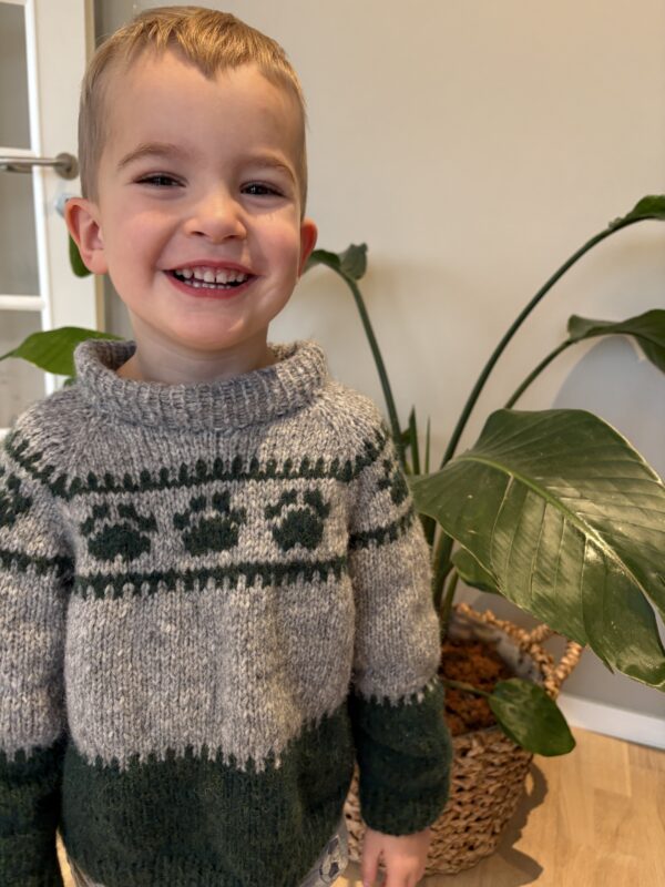 Wild Paws Sweater - Image 3